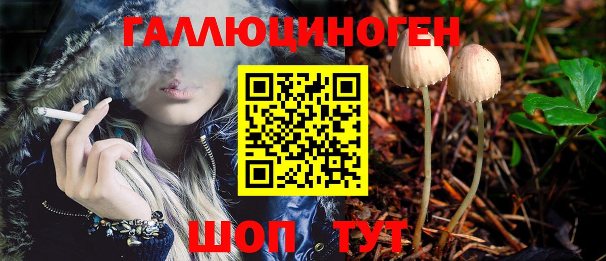 Шелехов  Галлюциногенные грибы Magic Shrooms  Псилоцибиновые грибы Psilocybe  Вход с VPN 