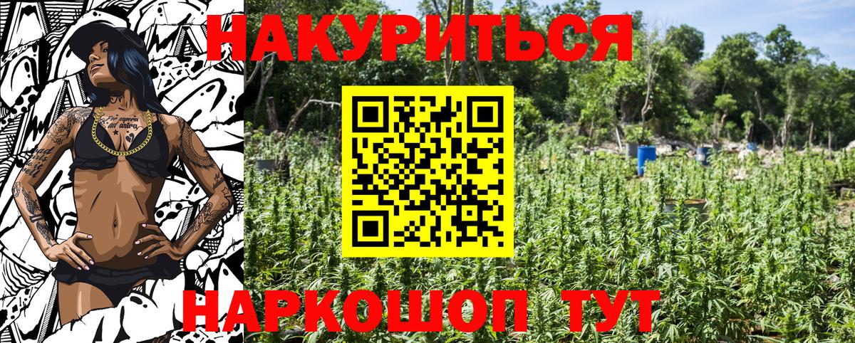 Шелехов  Марихуана марихуана  Каннабис OG Kush  Вход с VPN  Каннабис VHQ  Канабис планчик 